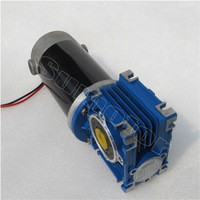 Large DC worm gear motor 